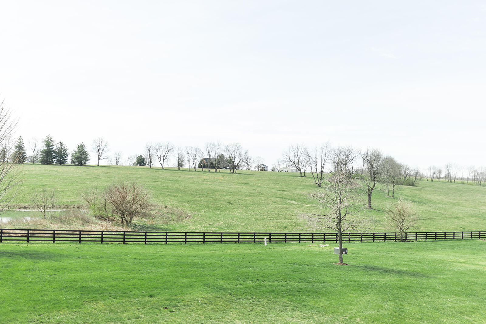6395 Delaney Ferry Road Versailles, KY 40383 - Photo 50 of 52 DelaneyFerry-109