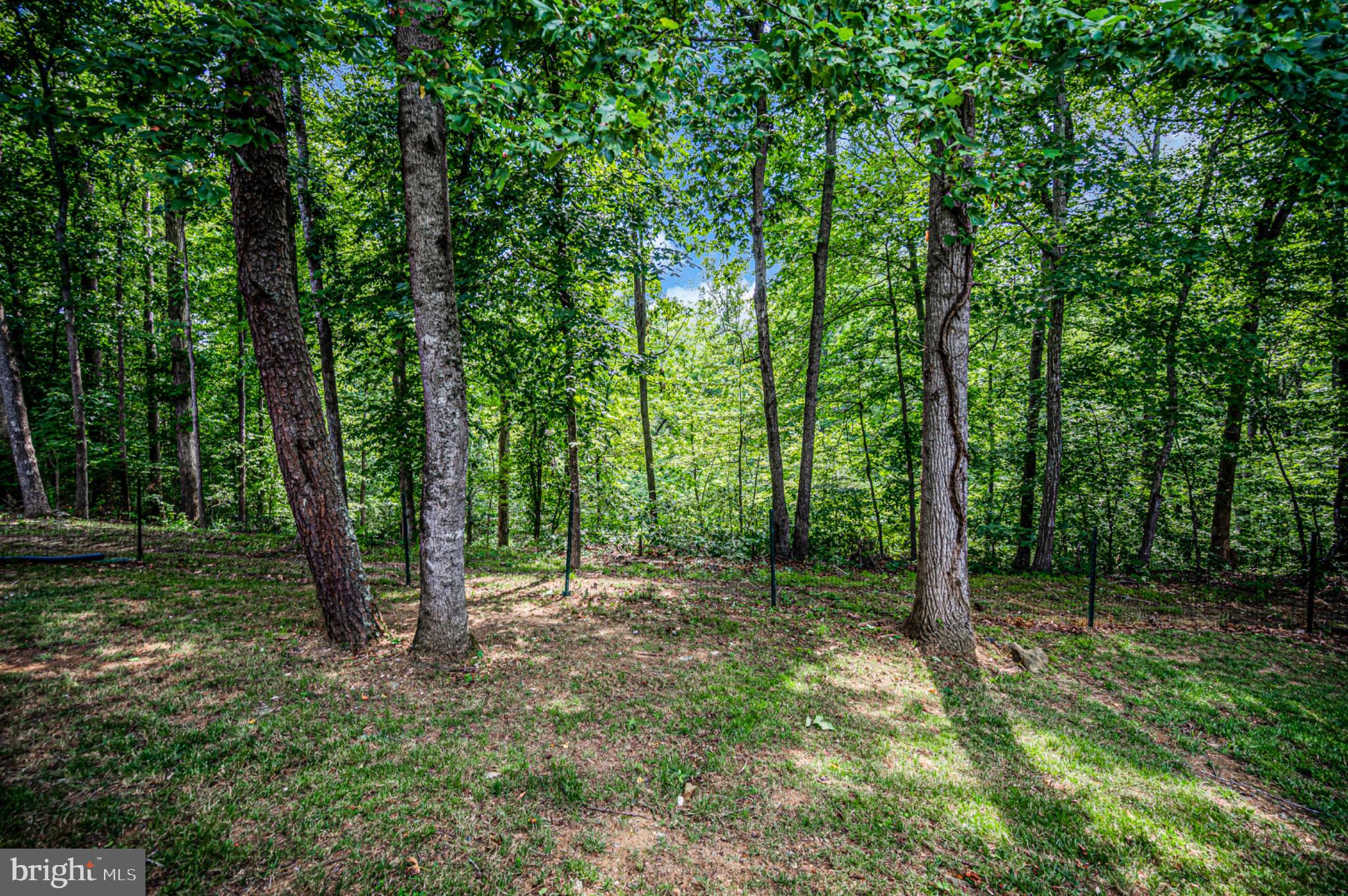 239 Toluca Road Stafford, VA 22556 - Photo 21 of 75 Serene woodland retreat awaits you.