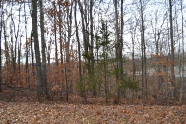 a view of outdoor space with lots of trees