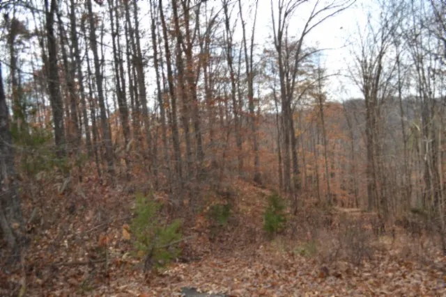 $49,900 | 0 Wet Mill Creek Road, Celina, TN 38551