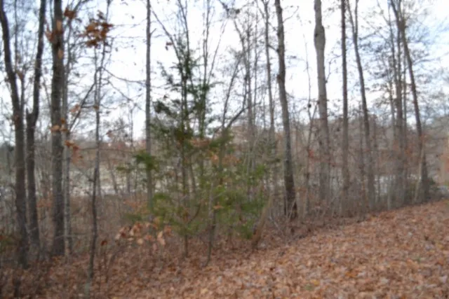 $49,900 | 0 Wet Mill Creek Road, Celina, TN 38551