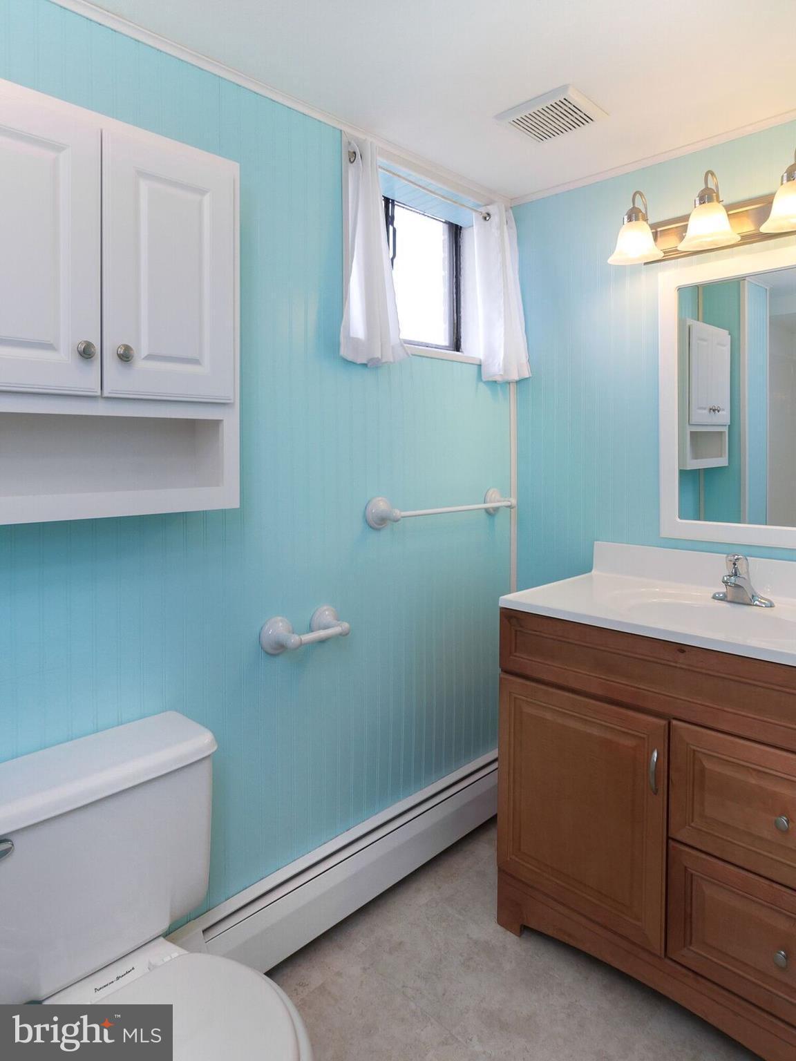 2636 West Ruhl Road Freeland, MD 21053 - Photo 17 of 30 Lower Level Full Bath with Standing Shower