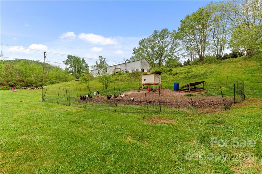 3 Buckner Road Leicester, NC 28748 - Photo 23 of 28 a view of a park with large trees