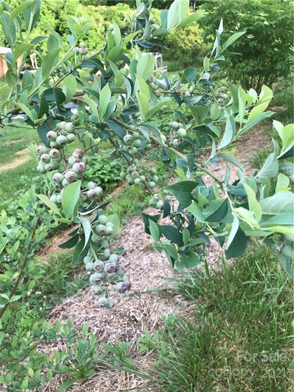 3 Buckner Road Leicester, NC 28748 - Photo 26 of 28 a backyard of a house