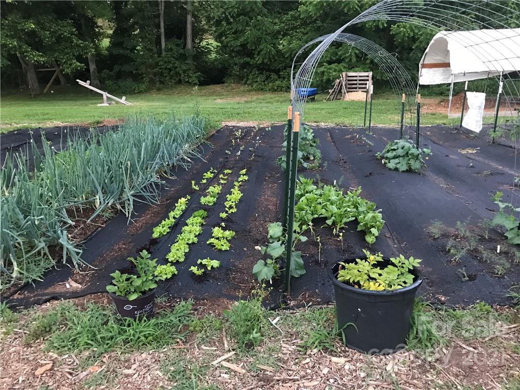 3 Buckner Road Leicester, NC 28748 - Photo 27 of 28 a view of a backyard with potted plants