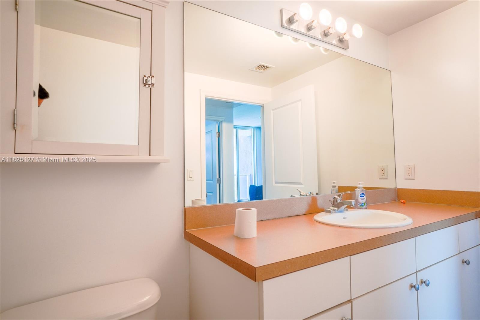 1250 South Miami Avenue, Unit 3003 Miami, FL 33130 - Photo 16 of 31 a bathroom with a sink and a mirror