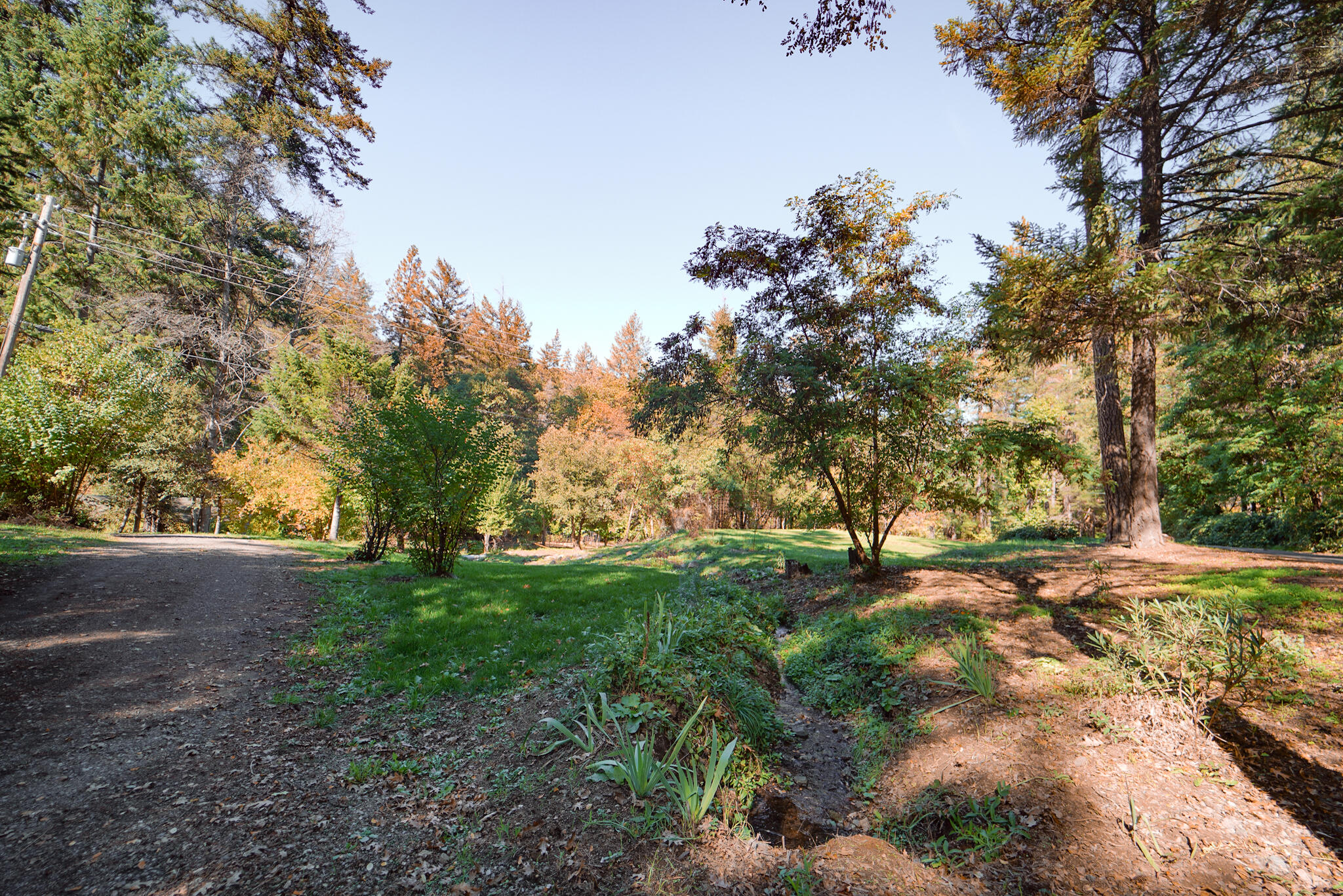 420 Price Creek Road Big Bar, CA 96010 - Photo 60 of 63 driveway to property