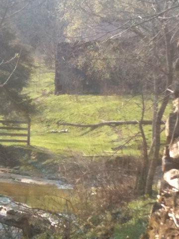 797 Stoney Run Road Richmond, KY 40475 - Photo 19 of 34 Photo 19