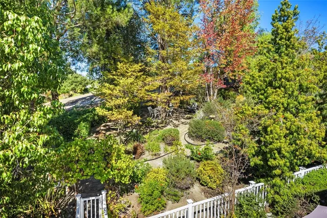 a view of dirt field with trees in background