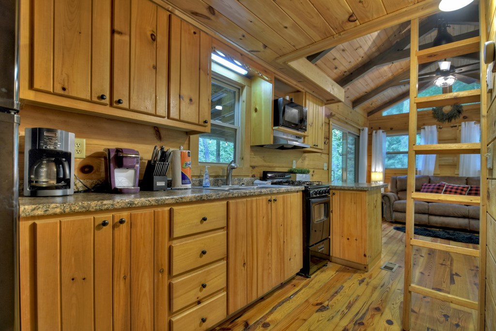 163 Chestnut Ridge Circle Blue Ridge, GA 30513 - Photo 21 of 36 Gallery Image 21