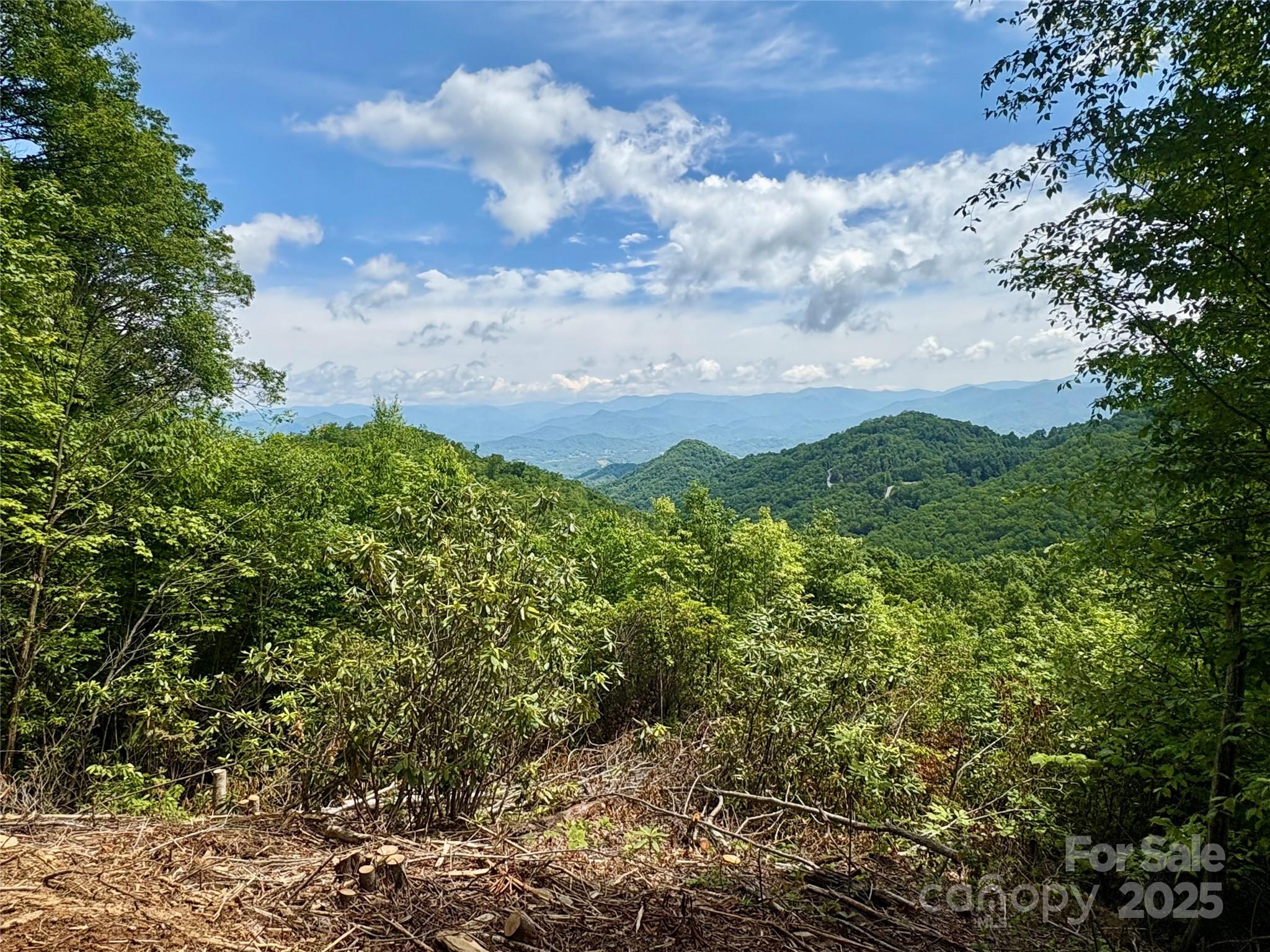 0 Middle Ridge, Unit 42 Whittier, NC 28789 - Photo 5 of 10 Gallery Image 5
