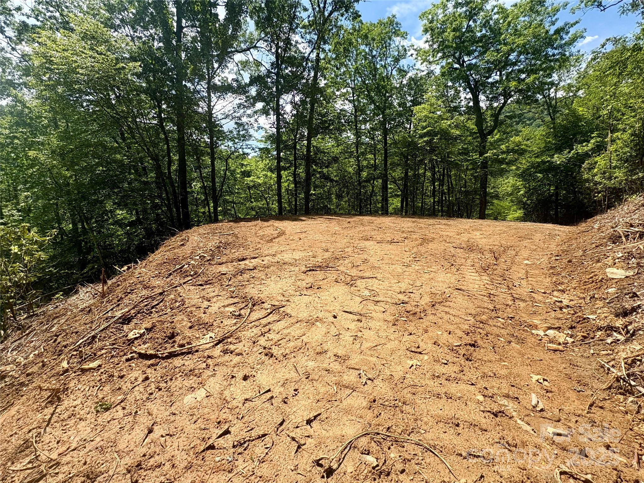0 Middle Ridge, Unit 42 Whittier, NC 28789 - Photo 6 of 10 Gallery Image 6