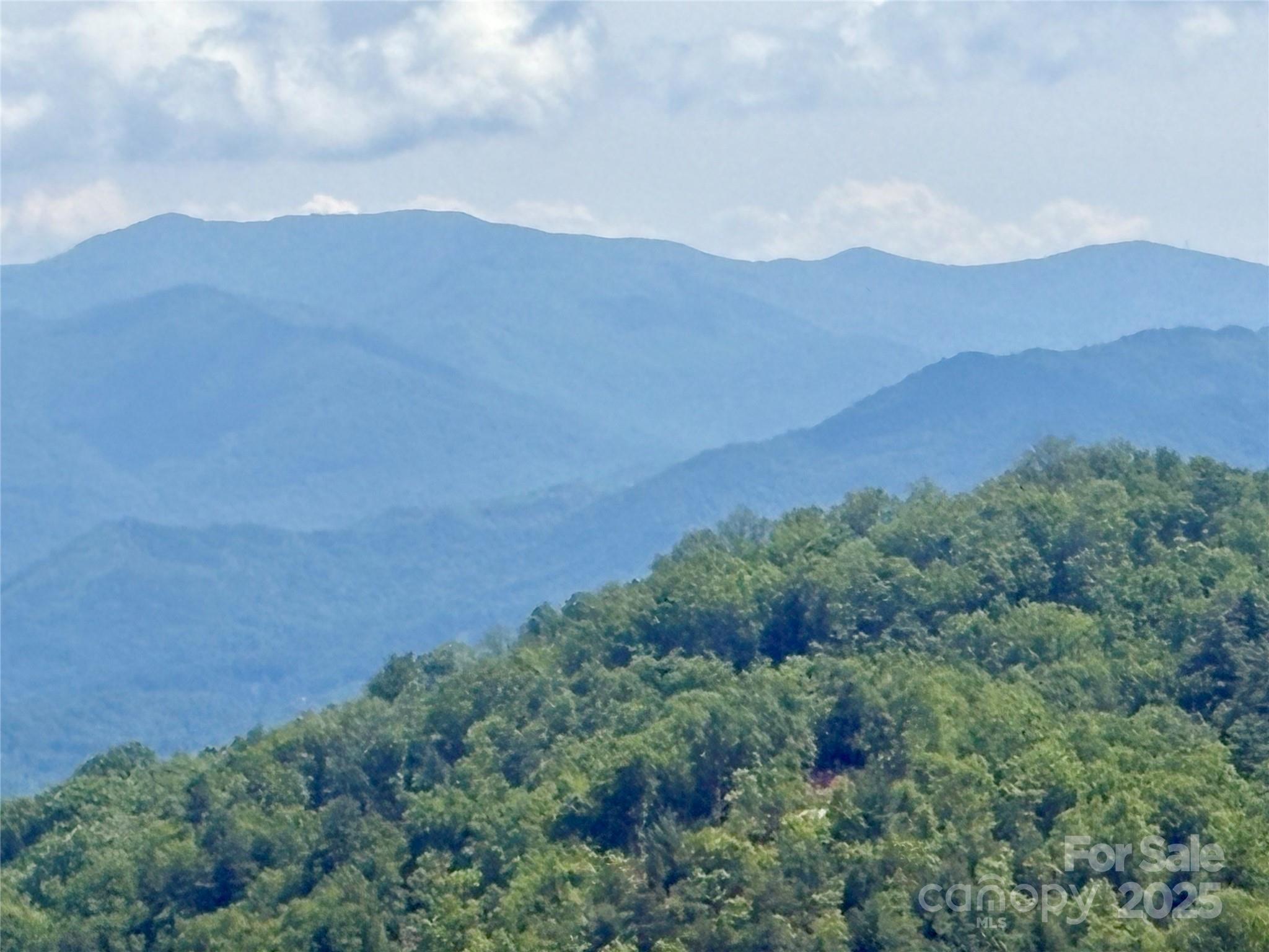 0 Middle Ridge, Unit 42 Whittier, NC 28789 - Photo 9 of 10 Gallery Image 9
