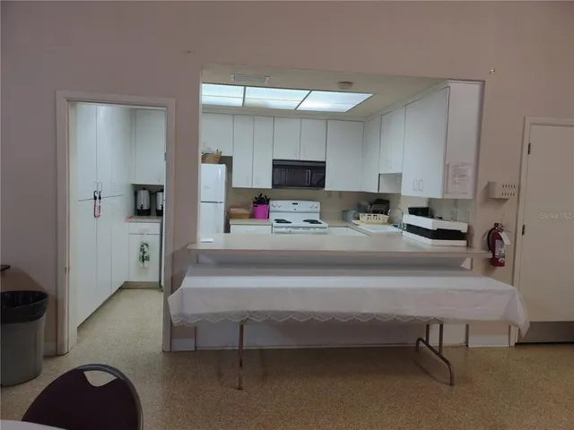 a view of a park with a tree