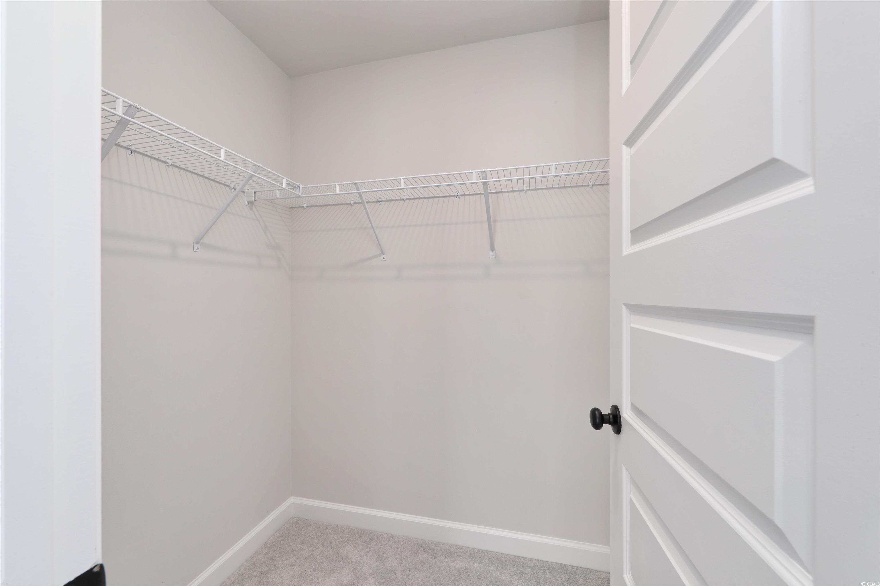 181 Azure Loop Myrtle Beach, SC 29588 - Photo 23 of 40 Spacious closet featuring carpet floors