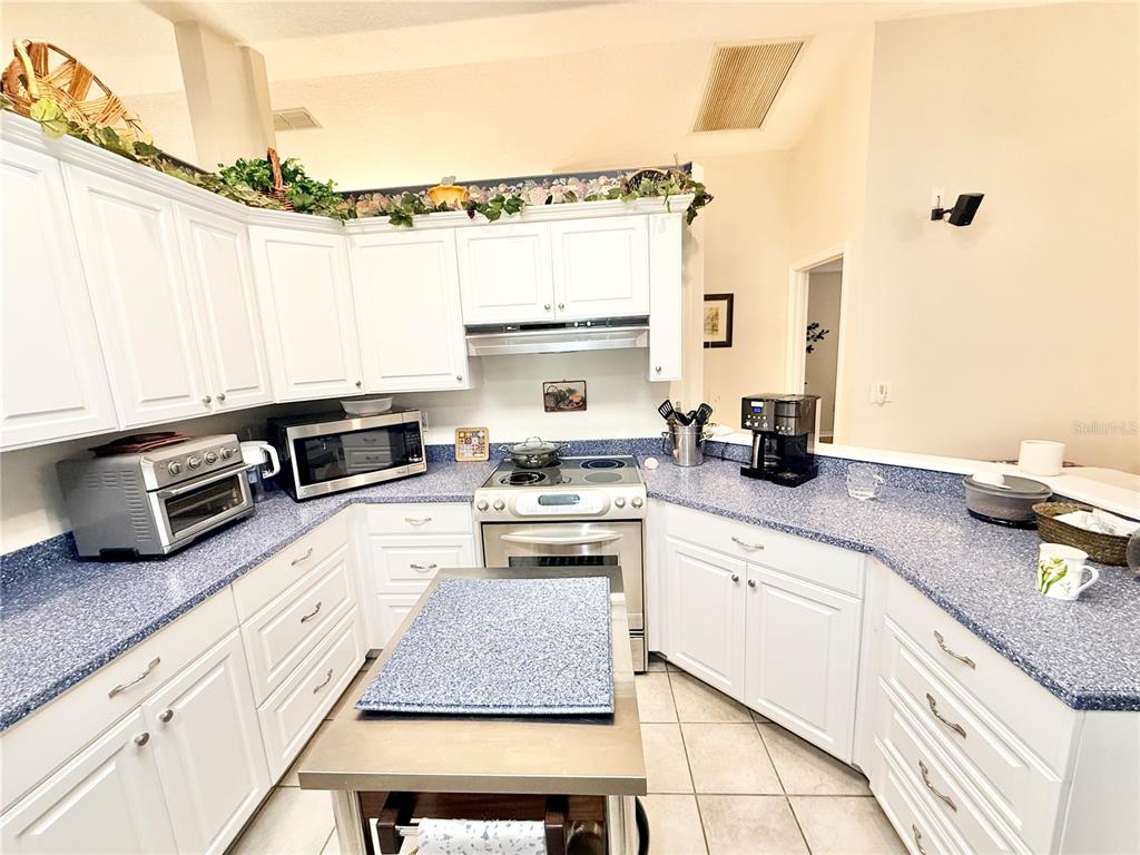 34704 Radio Road Leesburg, FL 34788 - Photo 8 of 42
