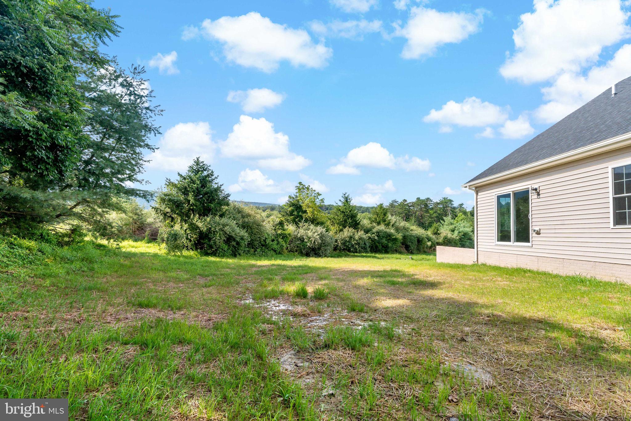 40 Mdg Berkeley Springs Berkeley Springs, WV 25411 - Photo 27 of 33 tree lined