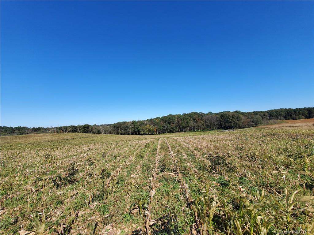 Vac Ledbetter-Ford Road Oakboro, NC 28129 - Photo 3 of 11 Gallery Image 3