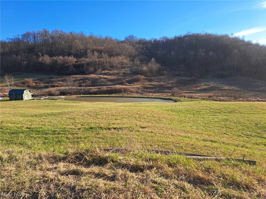 13955 T-Ridge Road Caldwell, OH 43724 - Photo 5 of 45 View of Acreage, Pond and Cabin.