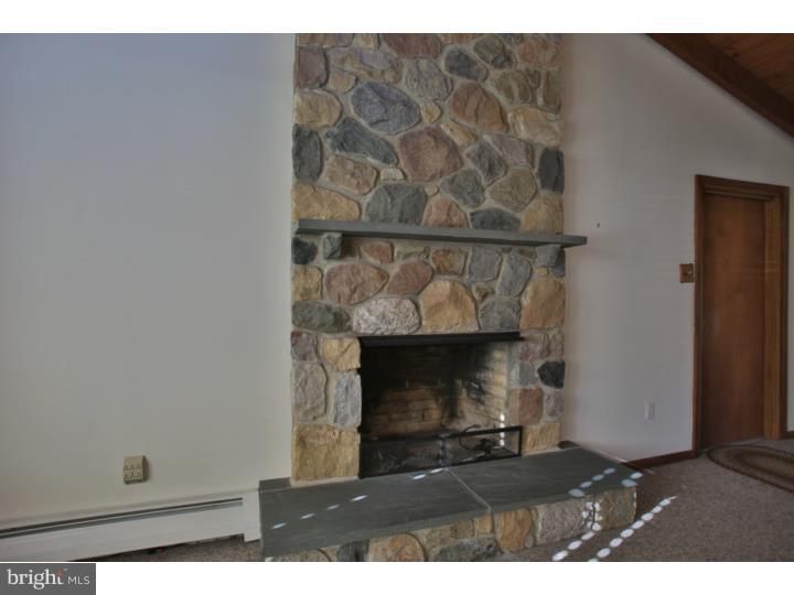 21 Beryl Road Paoli, PA 19301 - Photo 7 of 24 Fireplace