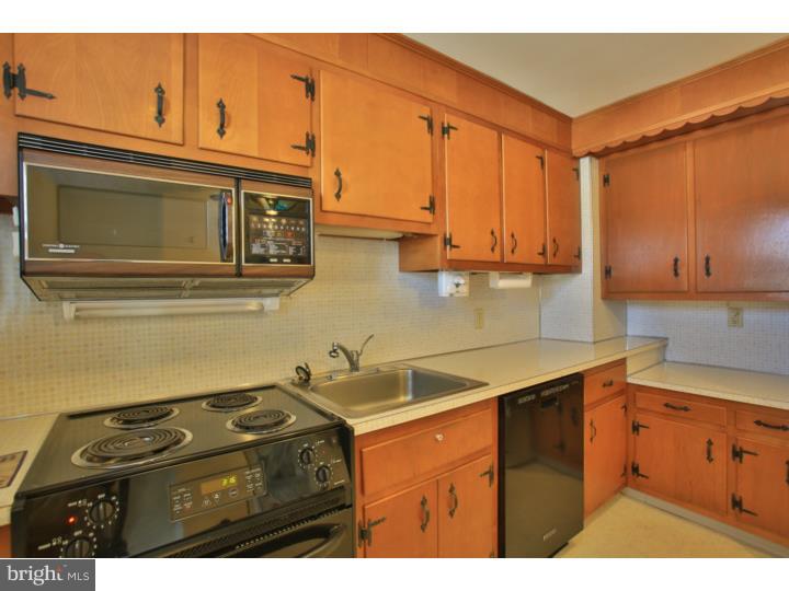 21 Beryl Road Paoli, PA 19301 - Photo 10 of 24 Kitchen