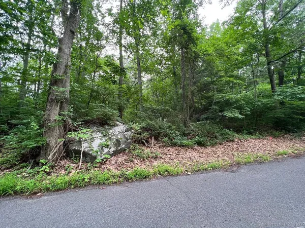 a view of a road with plants and trees