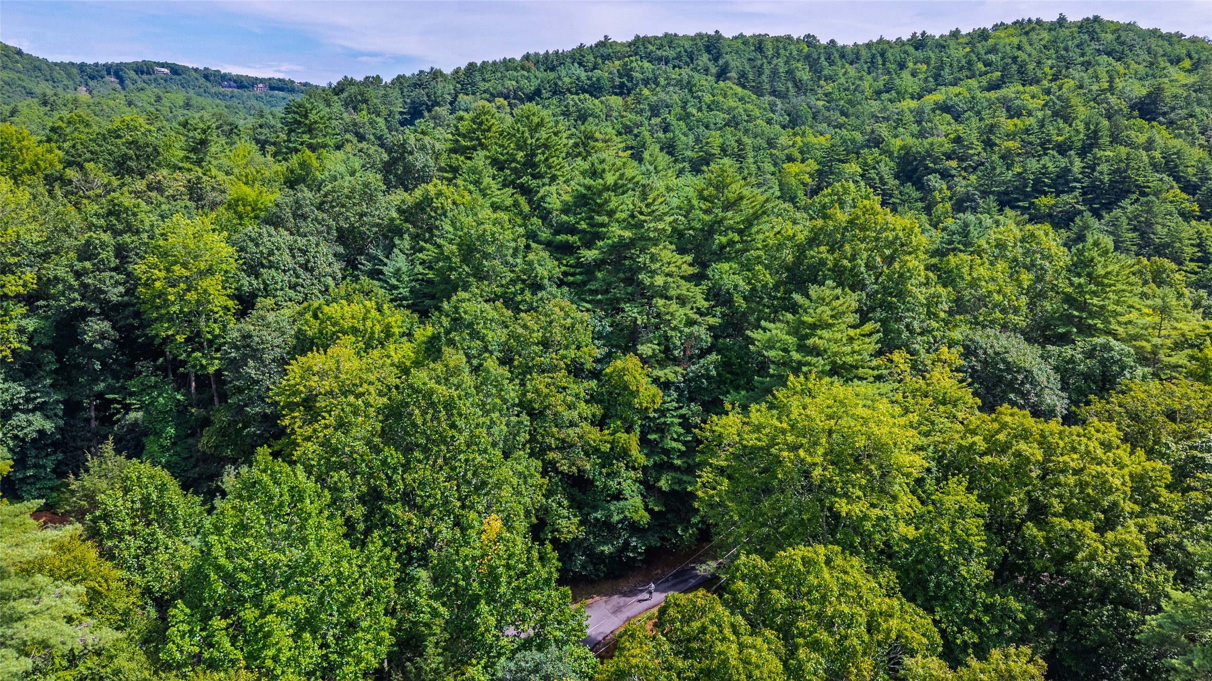 79 Rushing Brook Lane Cashiers, NC 28717 - Photo 9 of 11 Gallery Image 9