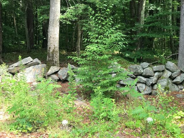 11 Lucas Farm Road York, ME 03909 - Photo 11 of 17 Lot