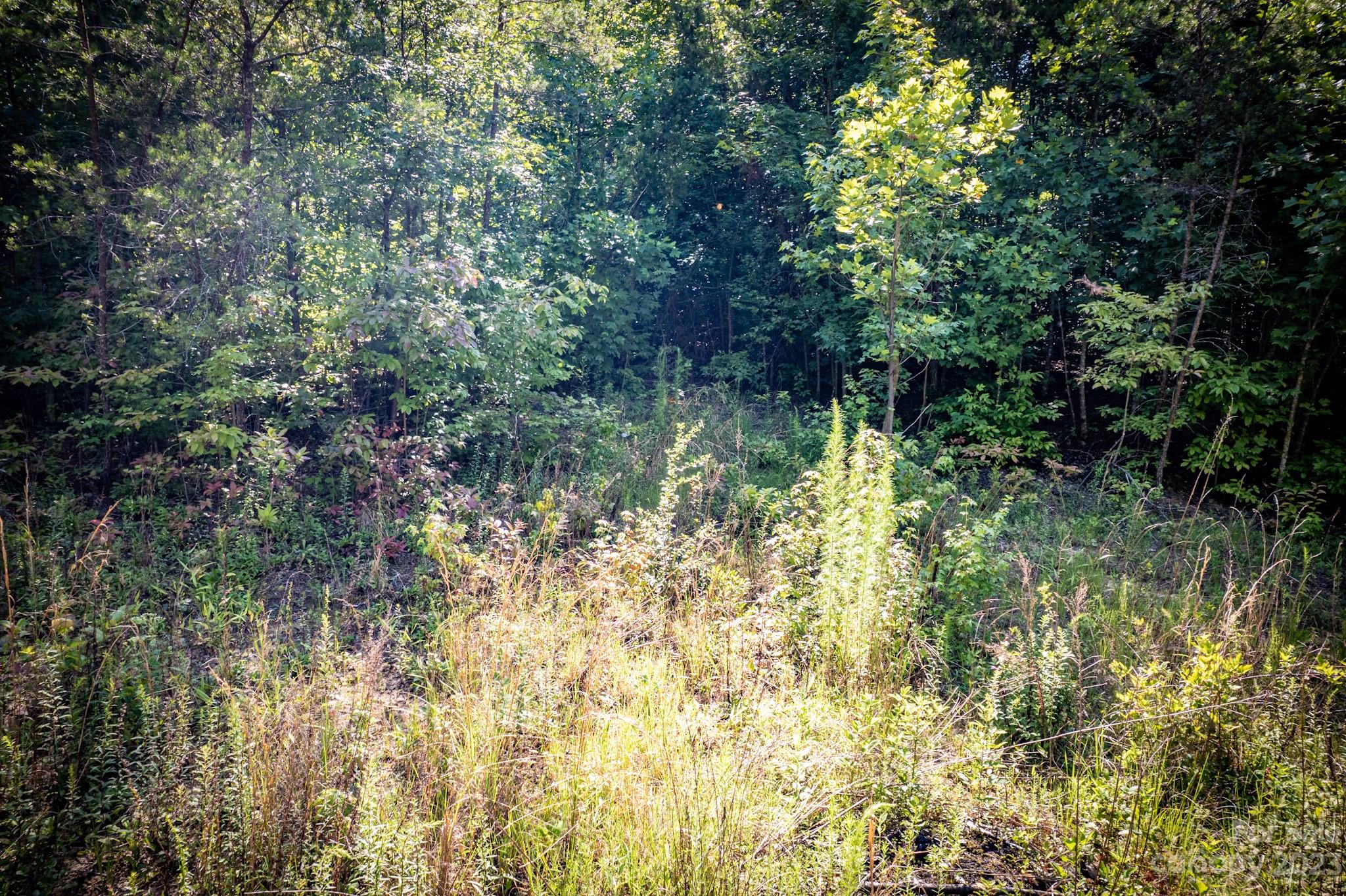3704 Piedmont Road Morganton, NC 28655 - Photo 12 of 16 Gallery Image 12