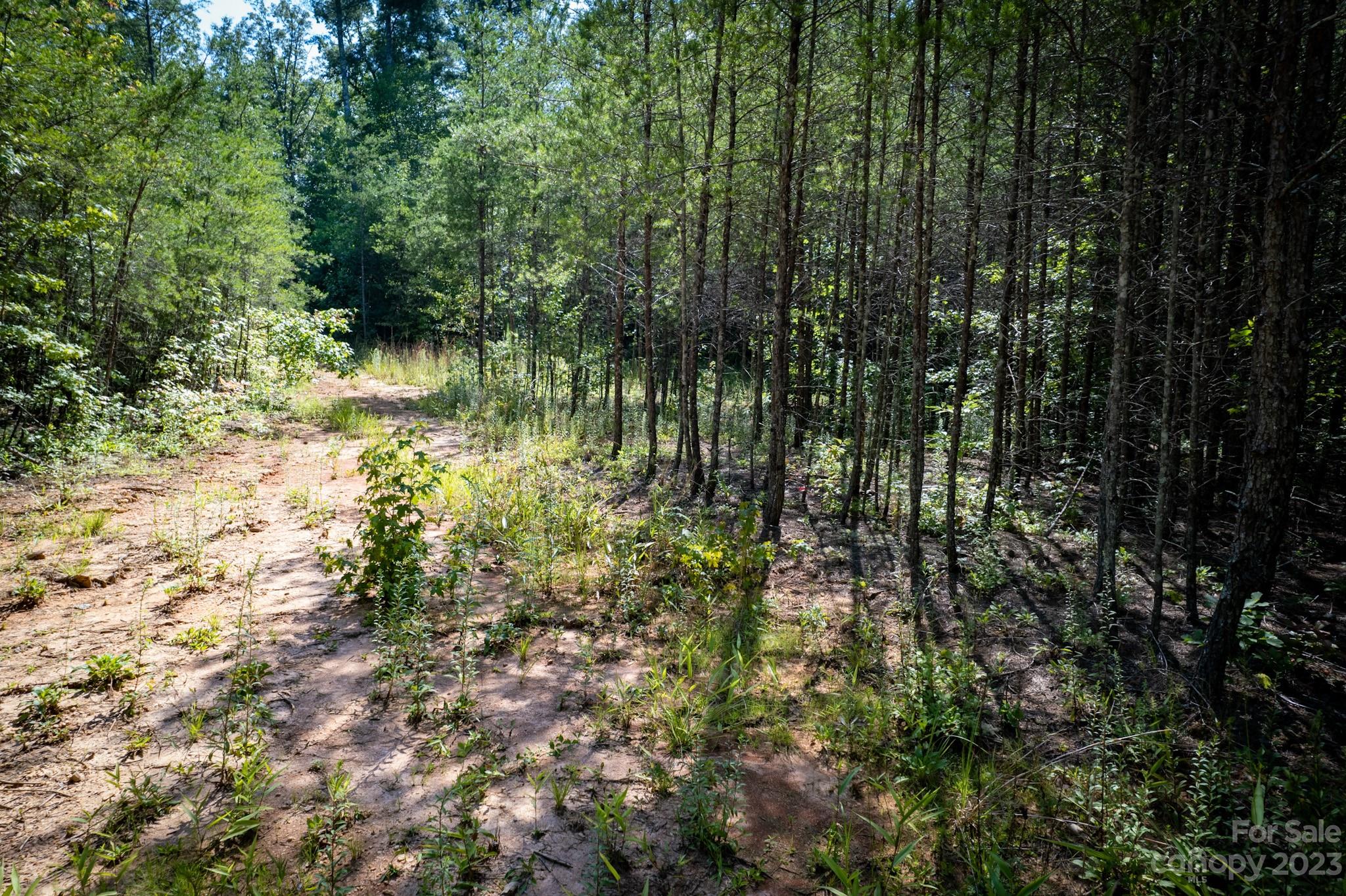 3704 Piedmont Road Morganton, NC 28655 - Photo 10 of 16 Gallery Image 10