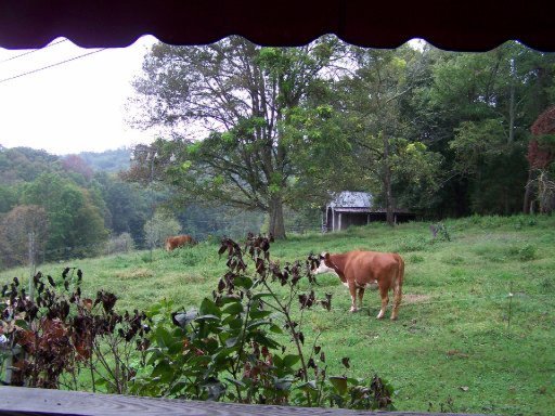 7011 Wood Road Corryton, TN 37721 - Photo 4 of 16 Additional Photo