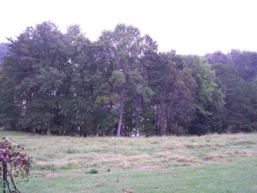 7011 Wood Road Corryton, TN 37721 - Photo 6 of 16 Additional Photo