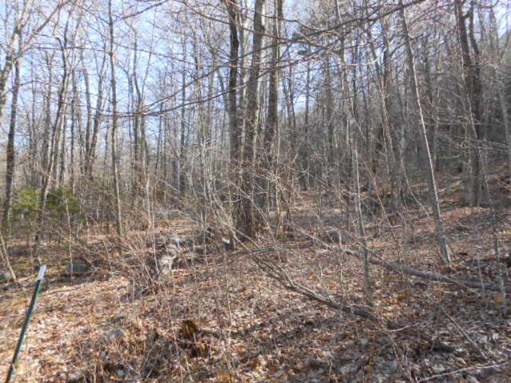 192 Quaker Path Road Wilmot, NH 03287 - Photo 3 of 5 Gallery Image 3