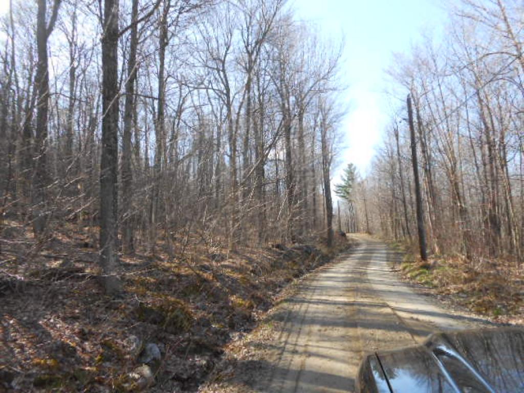 192 Quaker Path Road Wilmot, NH 03287 - Photo 5 of 5 Gallery Image 5