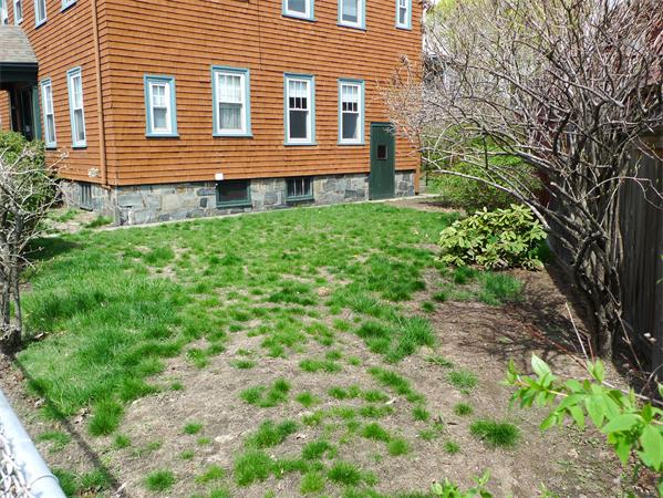 19 Rindge Avenue Cambridge, MA 02140 - Photo 5 of 5 Gallery Image 5