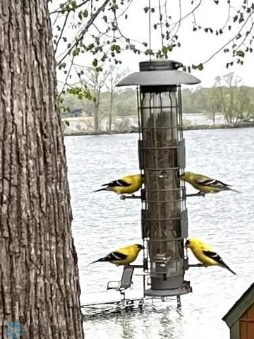 $625,000 | 13112 2nd Street Northeast, Spicer, MN 56288