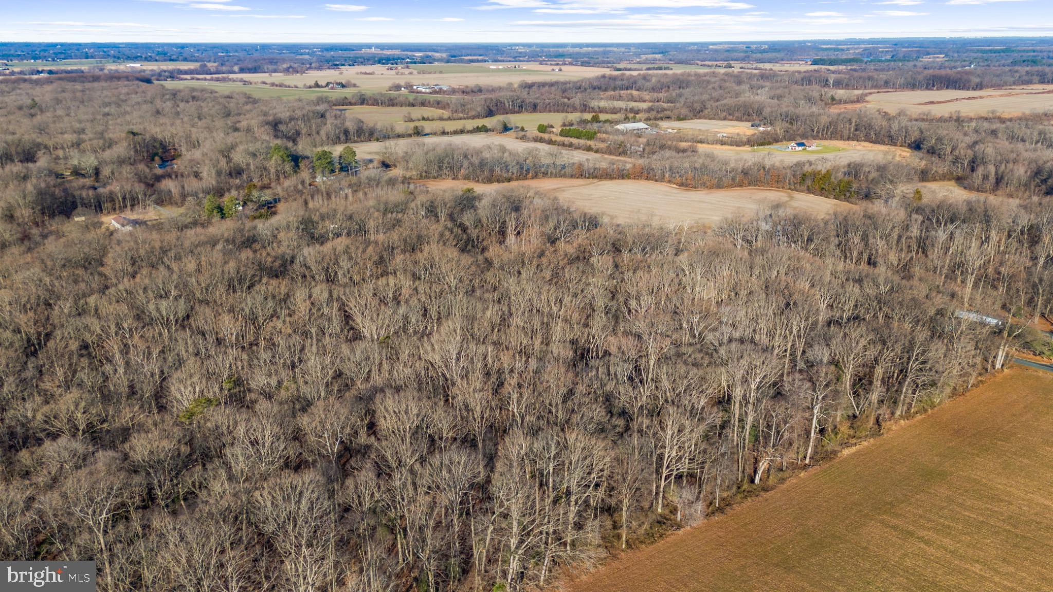 Hoffecker Road Chestertown, MD 21620 - Photo 11 of 11 Expansive rural landscape with wooded serenity.