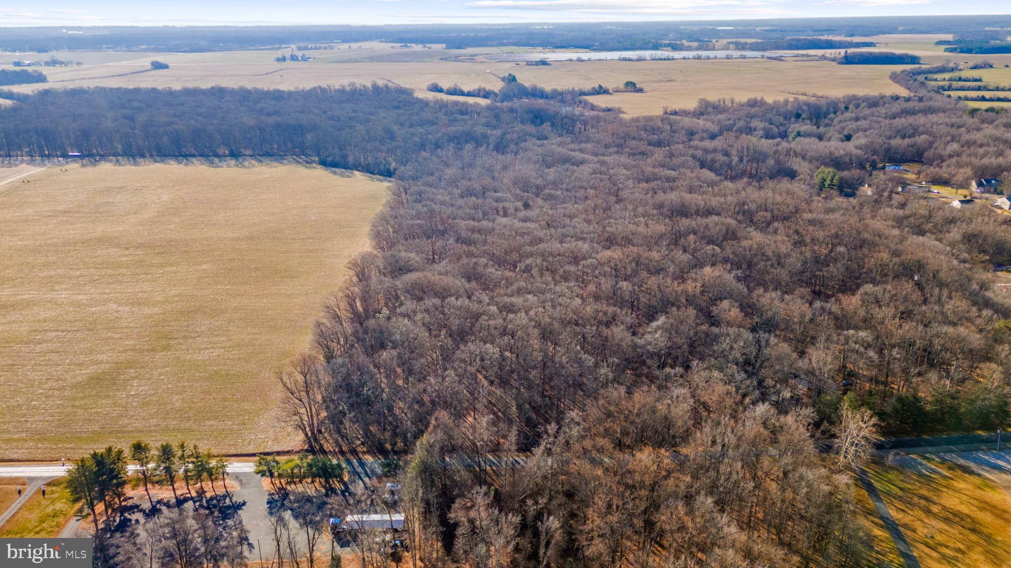 Hoffecker Road Chestertown, MD 21620 - Photo 2 of 11 Expansive fields meet serene woodlands.