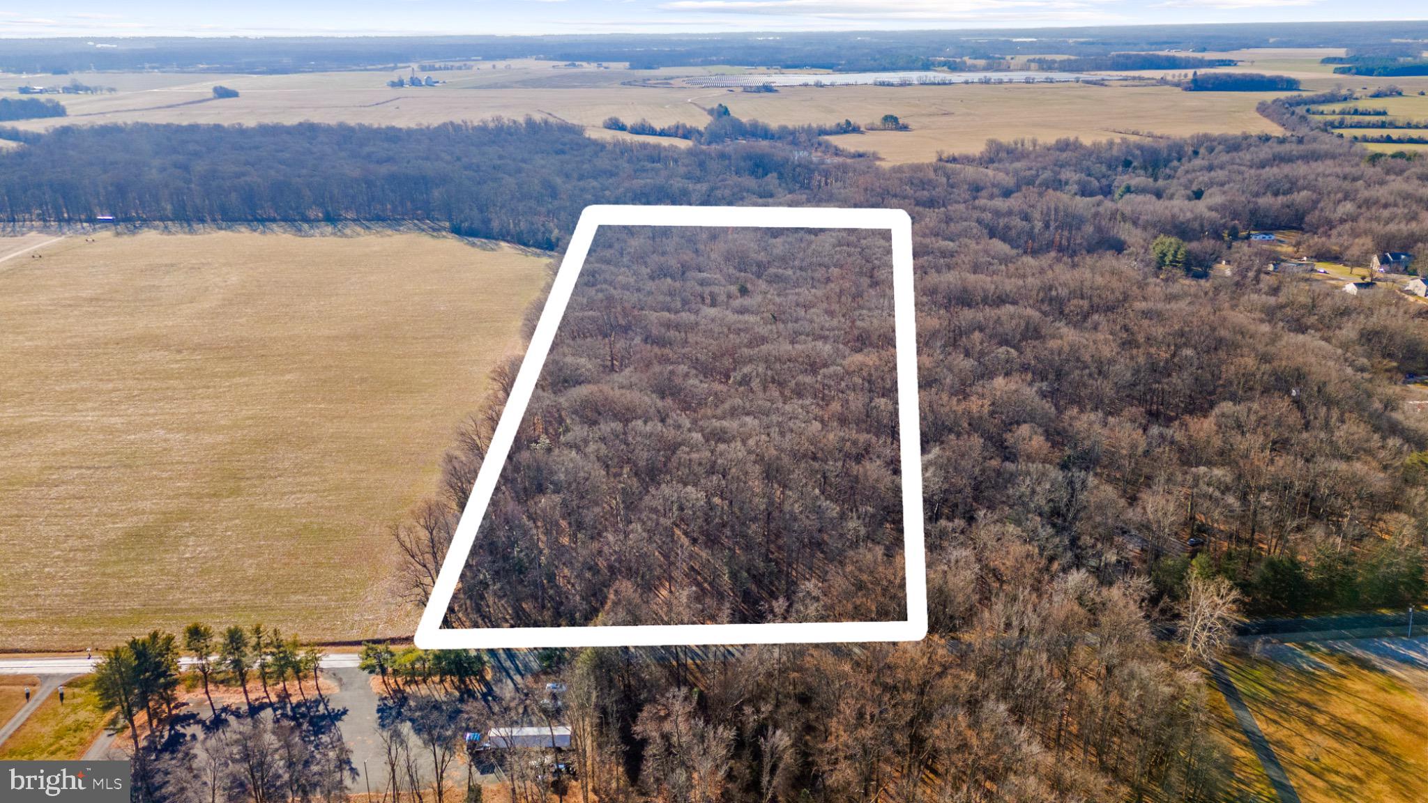 Hoffecker Road Chestertown, MD 21620 - Photo 3 of 11 Expansive wooded lot ready for your vision.