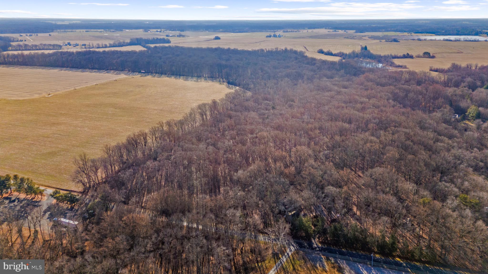 Hoffecker Road Chestertown, MD 21620 - Photo 4 of 11 Expansive fields meet serene woodlands.