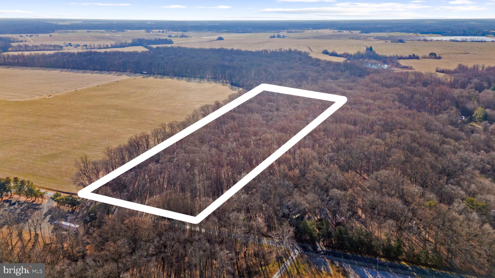 Hoffecker Road Chestertown, MD 21620 - Photo 5 of 11 Expansive wooded land ready for dreams.
