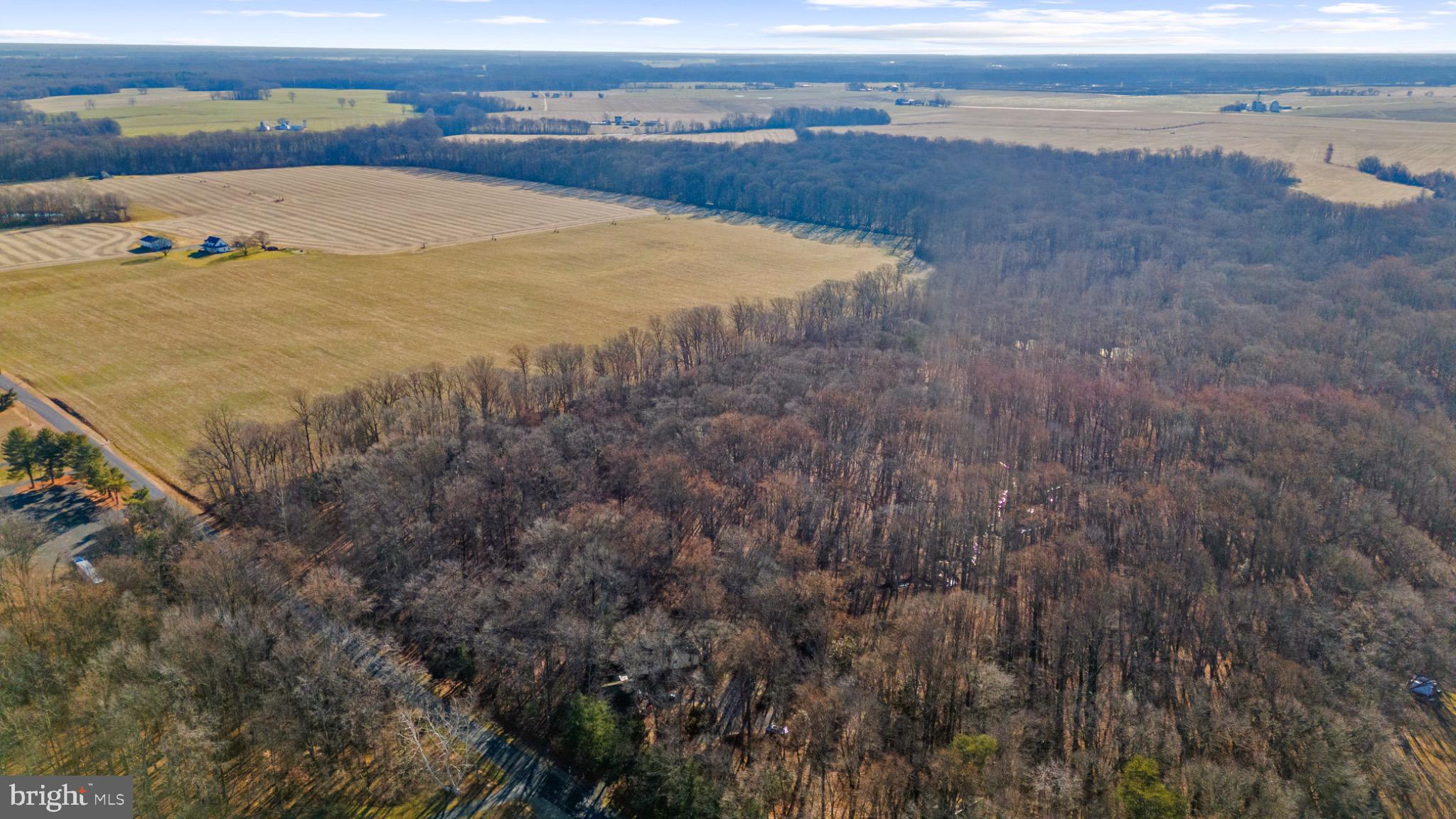 Hoffecker Road Chestertown, MD 21620 - Photo 6 of 11 Lush fields meet dense woodlands in harmony.