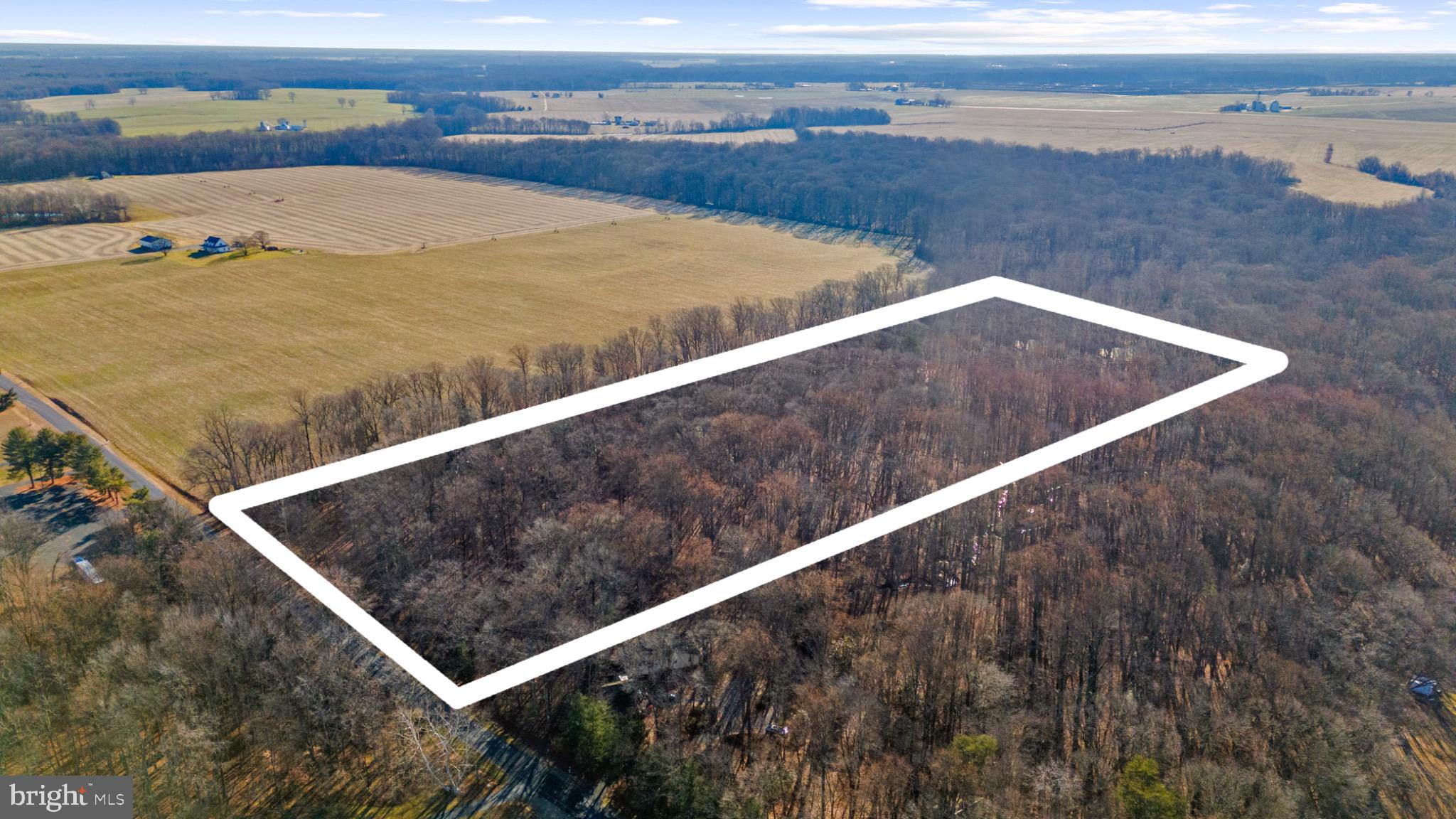 Hoffecker Road Chestertown, MD 21620 - Photo 7 of 11 Expansive wooded land ready for dreams.