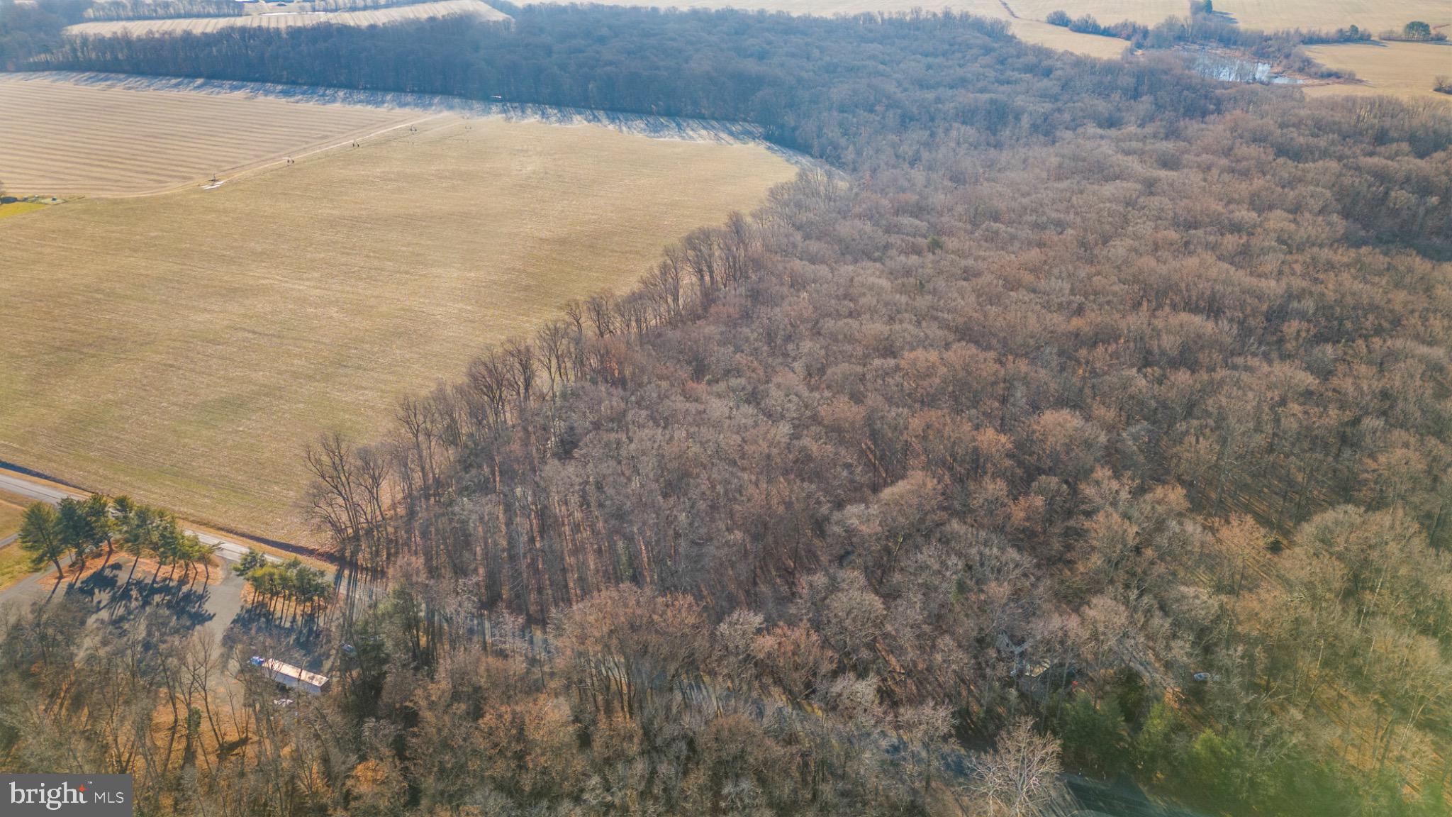 Hoffecker Road Chestertown, MD 21620 - Photo 8 of 11 Serene landscape of fields and woods.
