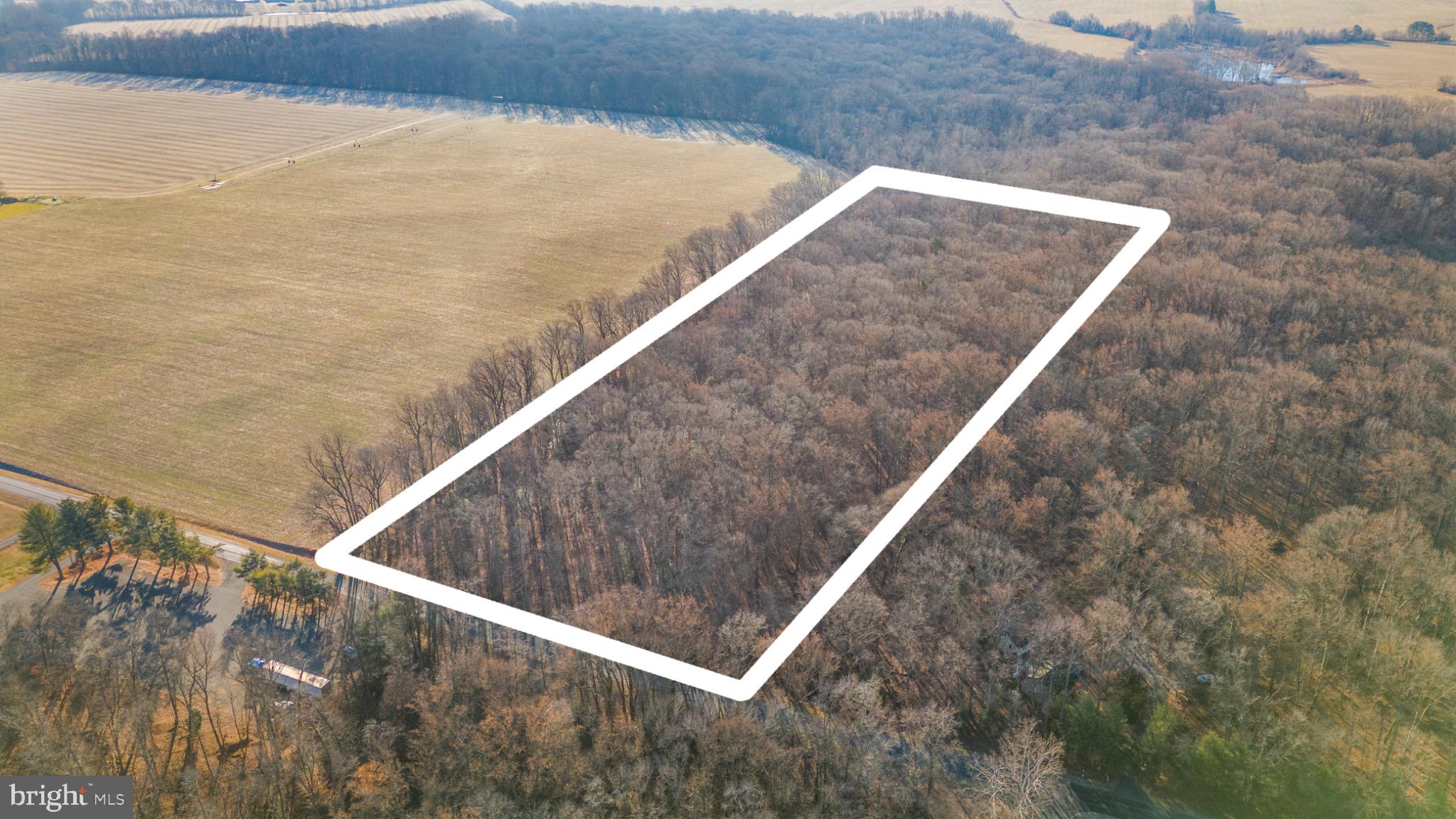 Hoffecker Road Chestertown, MD 21620 - Photo 9 of 11 Expansive wooded lot ready for your vision.