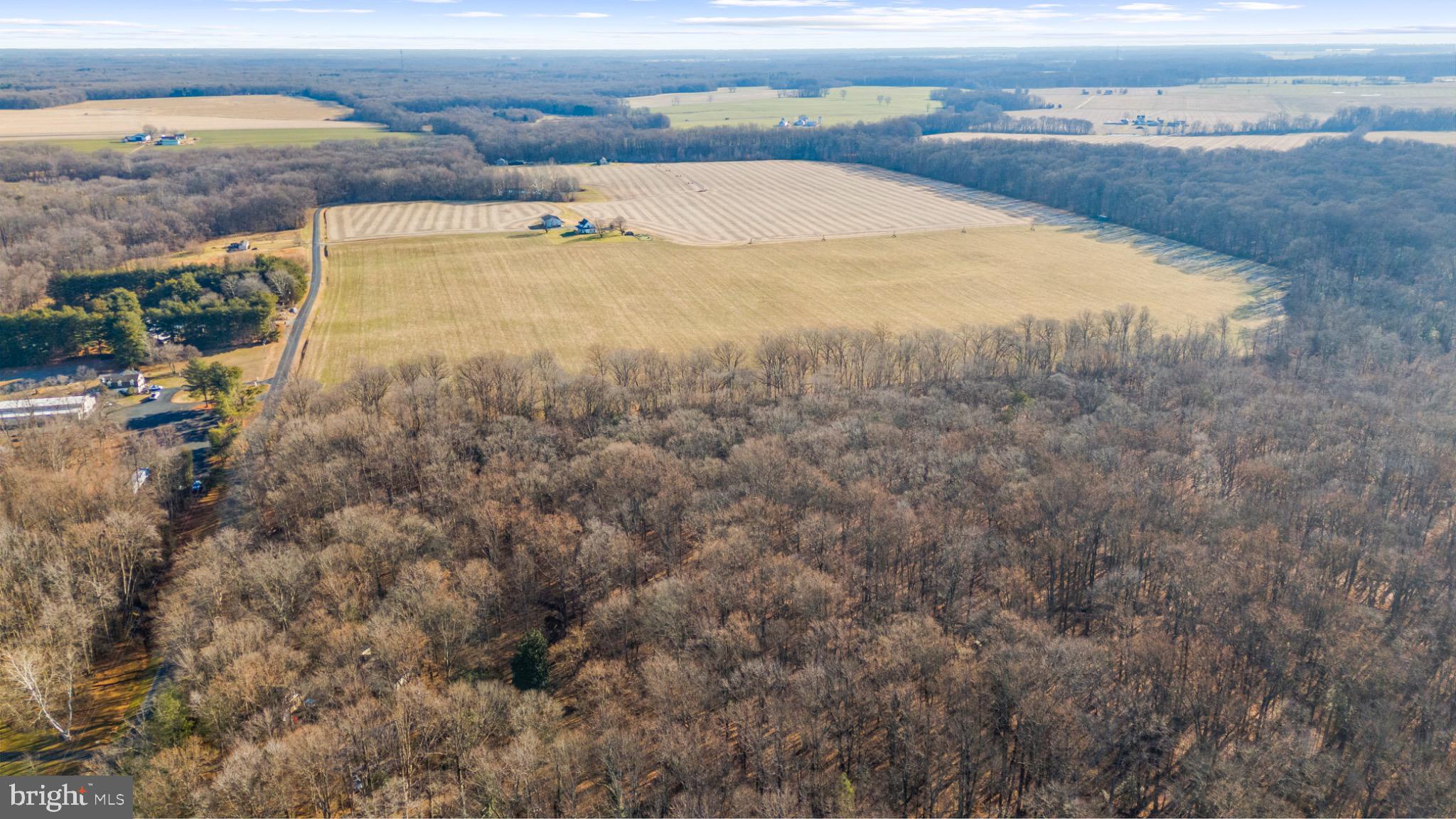 Hoffecker Road Chestertown, MD 21620 - Photo 10 of 11 Expansive fields meet serene woodlands.