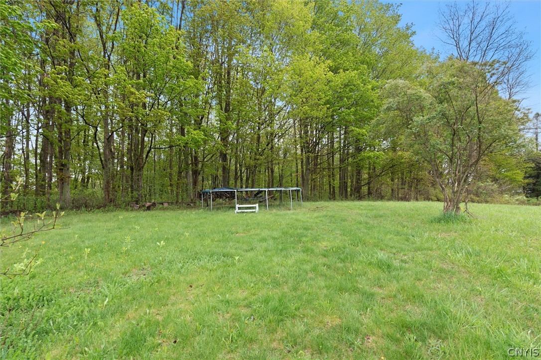 3570 Williams Road Marcellus, NY 13108 - Photo 5 of 50