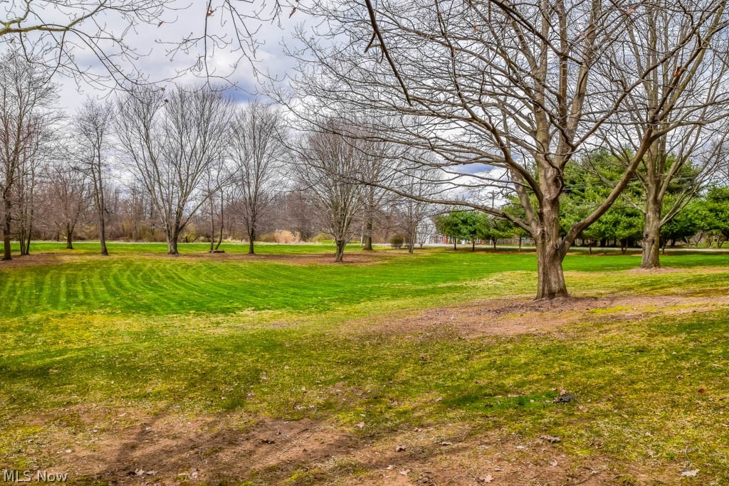 6955 Taylor Road Clinton, OH 44216 - Photo 2 of 26 Gorgeous front yard with mature trees!
