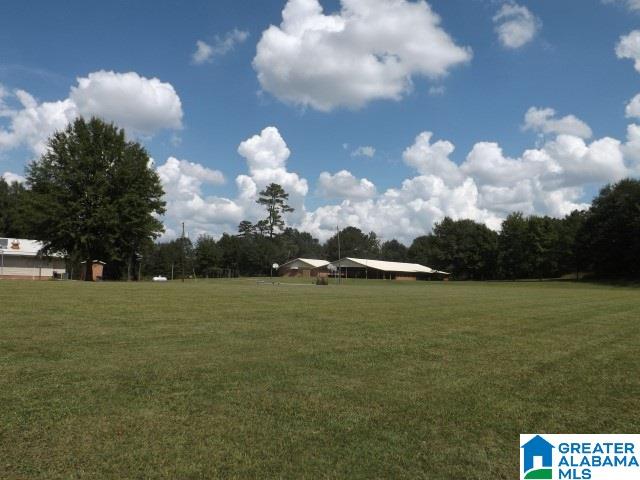 435 Wow Road, Unit 59 Blountsville, AL 35031 - Photo 38 of 49