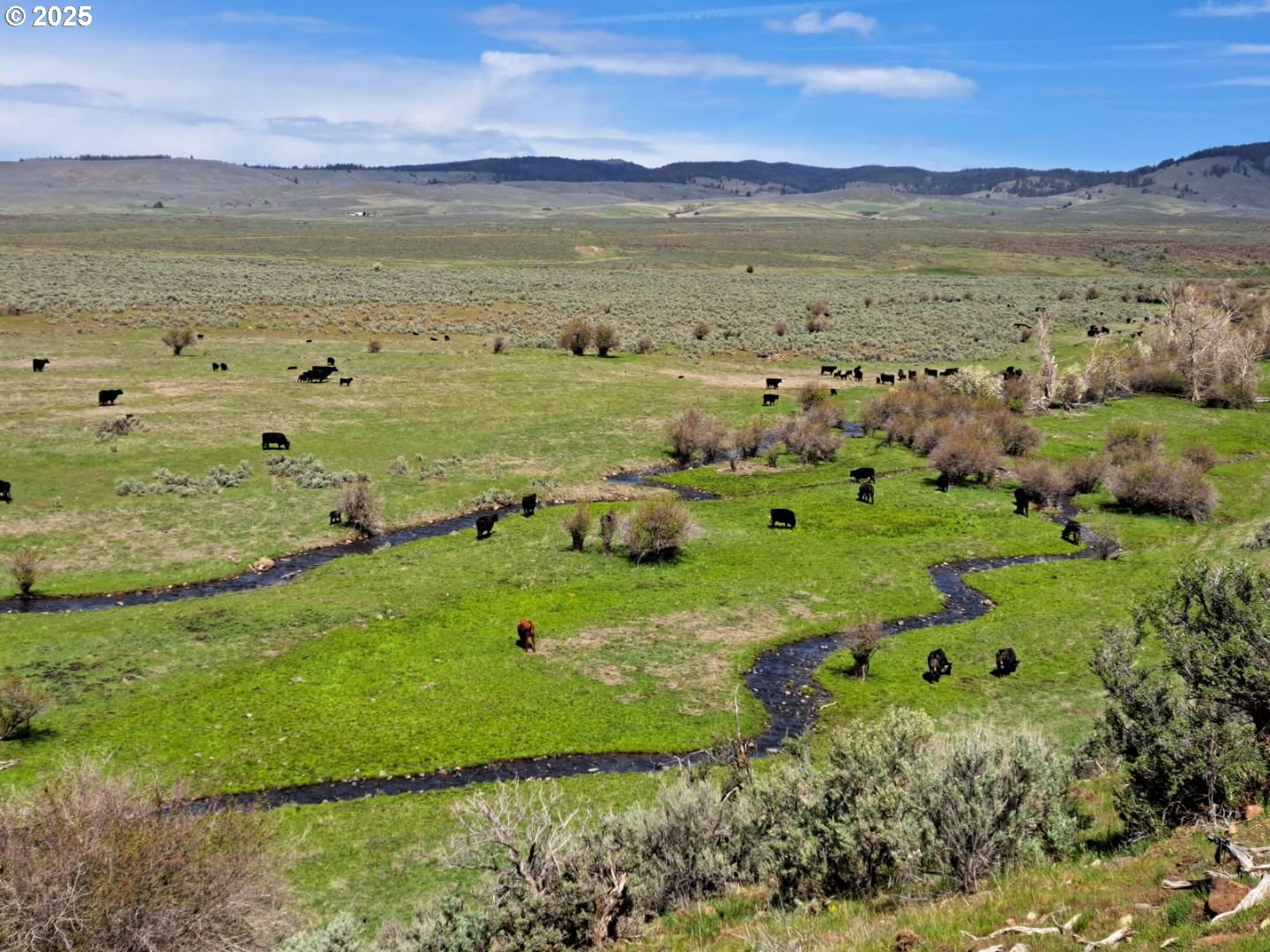 27877 Skinner Road Baker City, OR 97814 - Photo 48 of 48 a view of an ocean and beach